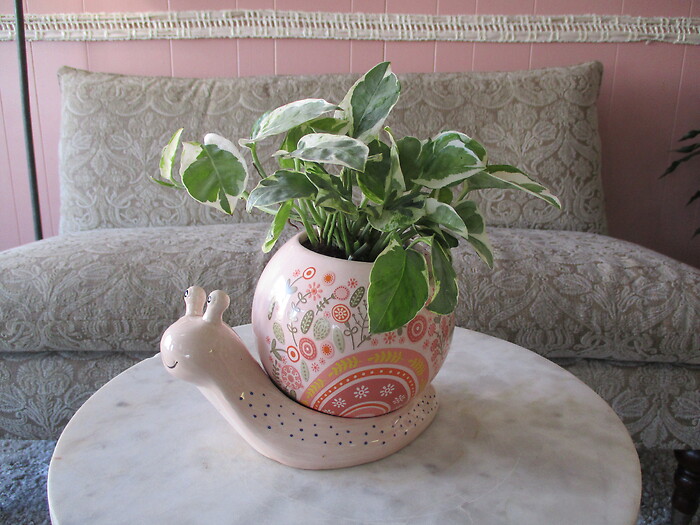 Spring Snail Planter
