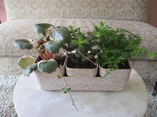 Earthy Planter